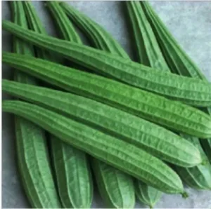 RIBBED GOURD/JHINGE