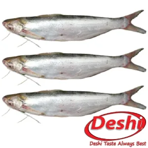 TATKA BACHA 500G