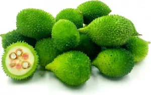 TATKA FROZEN TEASEL GOURD/KAKROL 500G