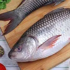 TATKA ROHU 2KG+
