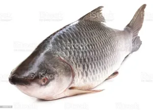ALIBABA ROHU 6KG+
