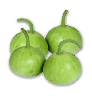 BOTTLE GOURD ROUND/LAU