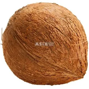 BROWN COCONUT 1PC