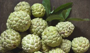 CUSTARD APPLE/ATAFAL