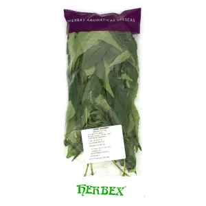 HERBEX FRESH CURRY LEAVES 40G