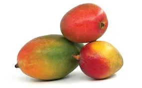 MANGO MEXICO