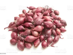 INDIAN ONION/DESI PEYAJ