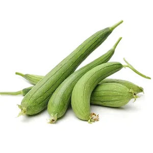SPONGE GOURD/DHUNDOL