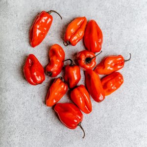 BULLET CHILLI/AFRICAN CHILLI