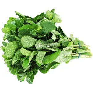 MINT FRESH BUNDLE