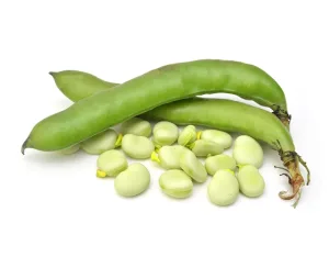 FLAT BEANS/SEEM