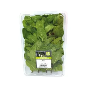 FRESH MINT/PUDINA