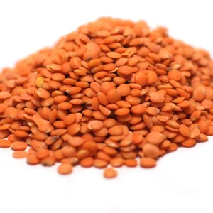 TATKA RED LENTILS LOOSE