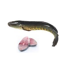 TATKA SHOL 1KG UP